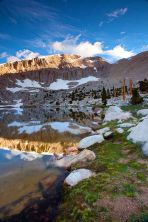 chicken spring lake shoreline.jpg